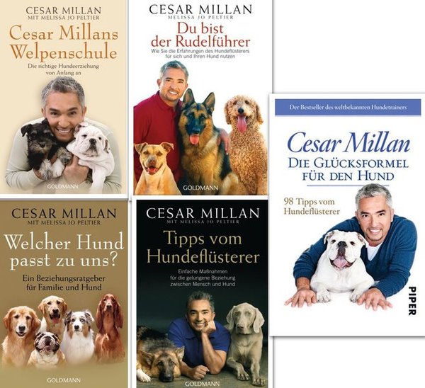Cesar Millan Der Hundeflüsterer  Buchset